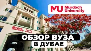 Murdoch University Dubai Campus | Обзор Университета в Дубае