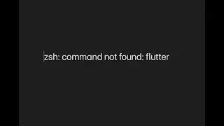 zsh: command not found: flutter (Mac + VsCode)