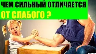 Чем сильный человек отличается от слабого?