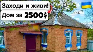 🇺🇦 Заходи и живи! Дом в селе за 2500$ Продажа недвижимости за копейки! Всё есть Уютное тихое село!