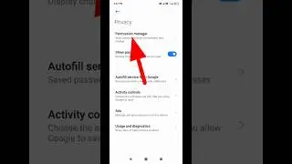 permission Manager allow and deny App permission 