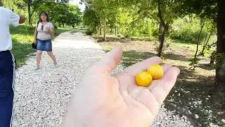 Отдых в Крымском районе. Озеро Новокрымское(Греческое) 
