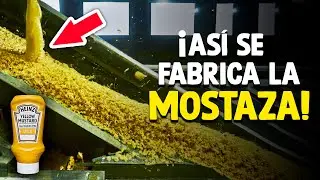 ¿Cómo Se Hace La Mostaza? [Proceso En Fábrica]