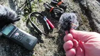 ZOOM H1N Recording Nature setup See comments for gear ASMR