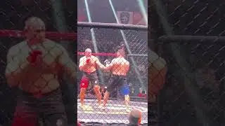 Алексей Олейник - Оли Томпсон / Видео нокаута 