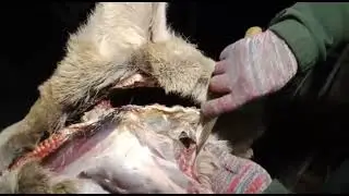 Cr12MoV производства КНР. Вести с поля.