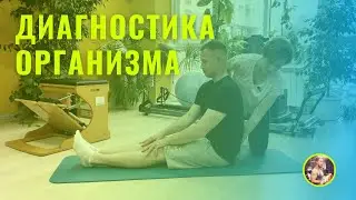 Диагностика организма. Фитнес тестирование дома #диагностикаорганизма #фитнестестирование