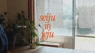 jeju log 🍊 pt 1 | traveling with mom and dog via ferry, dog-friendly/vegan-friendly spots
