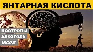ЯНТАРНАЯ КИСЛОТА - Похмелье, Нервное Истощение, Фитнес, Сахарный Диабет | Succinic Acid