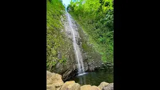 Manoa Falls: the best waterfall hike near Waikiki