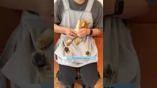 Pet Carrier Apron, link is on bio 