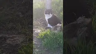 --мне и здесь хорошо)