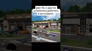 Мелстрой что за бизнес