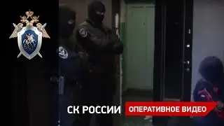 Задержание педофила