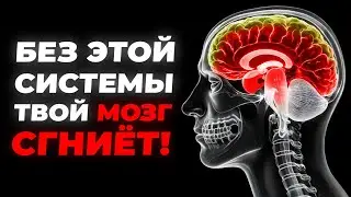 Зачем и Как: Создай Систему Заметок в OneNote по Zettelkasten!