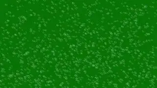 Bubbles #5 - 4K Green screen FREE high quality effects