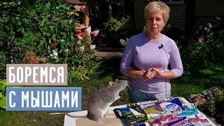 СМЕРТЕЛЬНОЕ МЕНЮ ДЛЯ МЫШЕЙ 🐭 УРОКИ ПО ПЛЕТЕНИЮ СКОРО!!! / Садовый гид