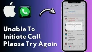 Unable To Initiate Call Please Try Again in WhatsApp iPhone (2024)