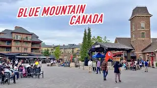 Why you should visit Blue Mountain in Canada in summer | 4K Virtual Walking Tour