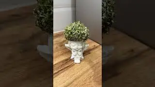 Арт. 242636351 • лучшие находки 
