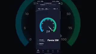 #beeline