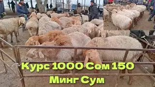 Ош Учкун куй бозори нархлари 4 чи видео 9 Февраль