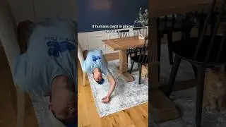 IF PEOPLE SLEPT LIKE CATS 😂 #viral #comedy #cats