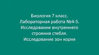 Биология 7 класс. Лаб. работа №4-5. Исследование внутреннего строения стебля. Исследование зон корня