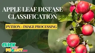 Python Image Processing Project - Apple Leaf Disease Classification - ClickMyProject