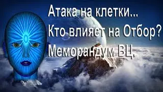 Атака на человеческие клетки. Кто влияет на Отбор? Меморандум ВЦ.