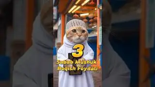 Nima sabab mushuk boqish kerak?! 