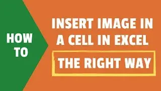 How to Insert Image in Excel Cell (Step-by-Step Guide)