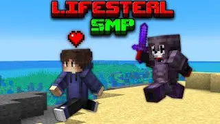 Playing a NEW Public Lifesteal SMP!