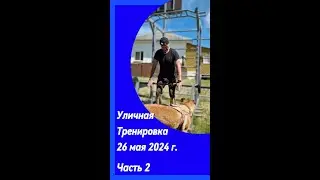 Уличная тренировка - Часть 2 -  26 мая 2024 г.