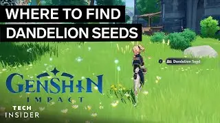 Where To Find Dandelion Seeds In Genshin Impact | Tech Insider