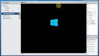 Installing widows on ESXI virtual machine with Data store or Bios Topic 6