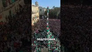 Они думали, что всё просчитано — но финал шокировал всех 