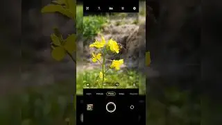 Mobile pro photography 📷 Vivo mobile photography #photography #shorts #short #viral