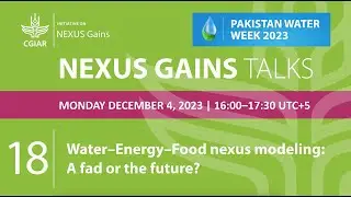 NEXUS Gains Talk 18: Water–Energy–Food nexus modeling: A fad or the future?