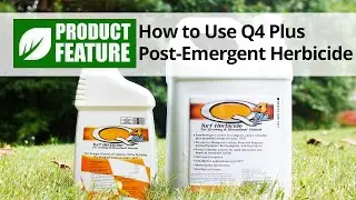 How to Use Q4 Herbicide | DoMyOwn.com