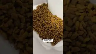 Automatic Pet Feeder... WOW! Puuuuuurfect