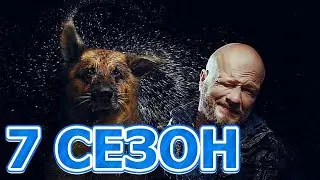 Пес 7 сезон 1 серия