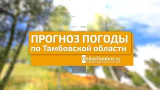 Прогноз погоды в Тамбове и Тамбовской области на 21 июня 2023 года