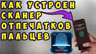 🔥 Как устроен сканер отпечатка пальцев на телефоне. Виды сканеров. Как работает сканер на телефоне.