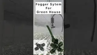 Fogger System for Green House 