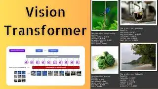 Classify images using Vision Transformers: A Hands-on Tutorial