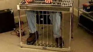 pedal steel