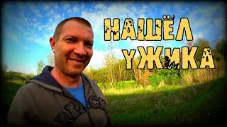 Нашёл ужика | Обычный влог