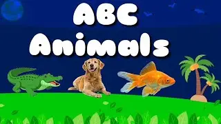 ABC Song  | A for Alligator | ABC Animals | Phonics Song ABC | Alphabets A to Z For Children