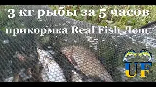Рыбалка в Киеве 3 кг рыбы за 5 часов с прикормкой Real Fish #3 выпуск